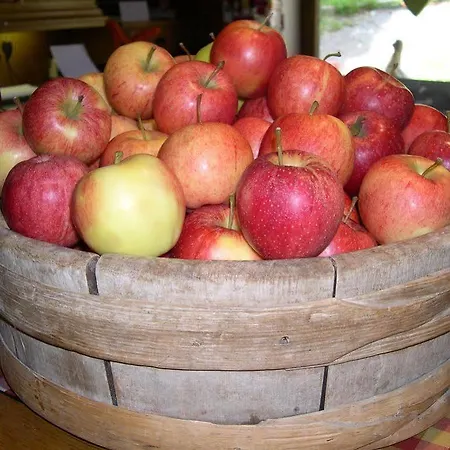 Unser Loisach 3* 레르모스